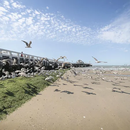 La Maree With Parking & Lateral Seaview By Interhome * Blankenberge